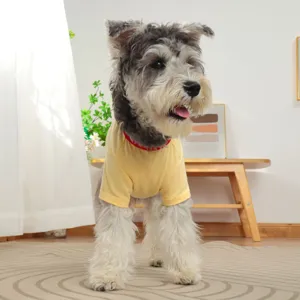 Detail view of cute pet dog t-shirt in yellow with red collar, perfect spring summer wear.
