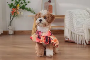 Hawaiian style pet cape dress for dogs, lightweight beach sun protection costume, floral print.