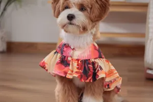 Cute Hawaiian style pet dog cape dress, lightweight floral beach sun protection clothing.