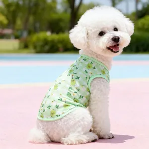 Mignon gilet pour chien à carreaux verts et avocat, joli vêtement pour animal de compagnie.