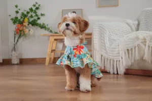 Hawaiian style pet cape dress detail showcasing vibrant tropical floral print and lightweight fabric.
