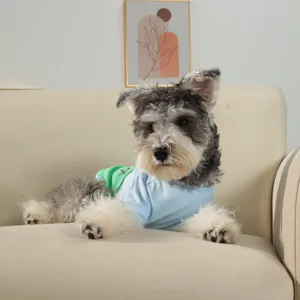 Close-up detail of the pet t-shirt worn by a cute dog, featuring a soft and breathable fabric.