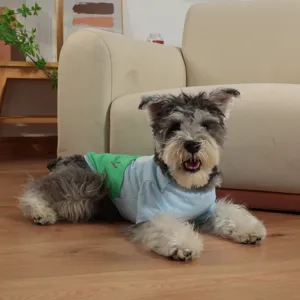 Cute pet t-shirt detail showing soft blue and green fabric comfortable for dogs in spring.