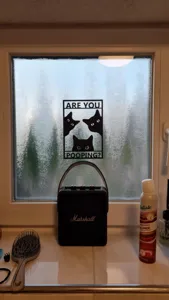 Funny 'Are You Pooping?' bathroom cat sign decoration for glass windows or walls.