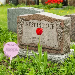 Rosa Schmetterling Gedenkpfahl für Gräber mit Mutter-Gedicht für Friedhofsdekoration im Freien