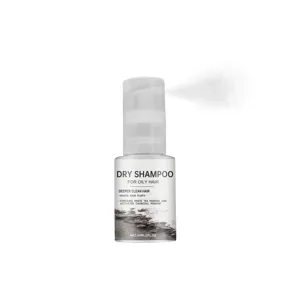Dry Shampoo Spray For Oily Hair Volumizing Hair Care Refreshing Scalp Portable Lightweight Hair Styling Product
