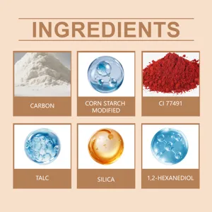 Infographie détaillée des ingrédients du stylo capillaire avec du talc et de la silice.