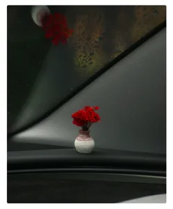 Gedetailleerde close-up van een minivaas met rode droogbloemen op het autodashboard, decors.