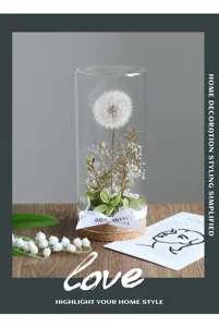 Preserved dandelion glass dome night light with wood base and dried floral decor details.
