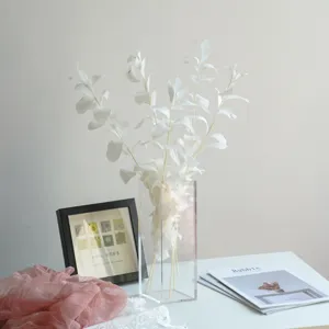 White preserved eucalyptus leaves bouquet in clear glass vase, home decor detail.