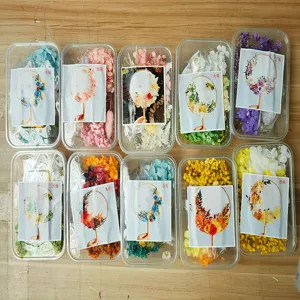 DIY dried flower material kit for hand fan making, assorted colors preservation flower box.