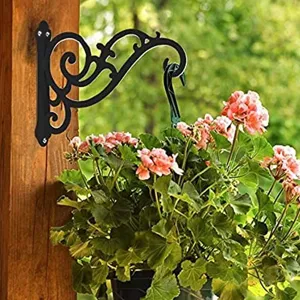Vintage Eisen Wandhalterung Hängende Pflanzenhalterung Metall Scroll Haken Für Garten Pflanzgefäße Dekorative Aufhänger Schwarz
