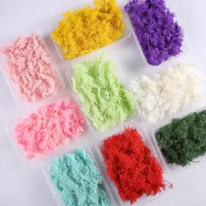 Natural Preserved Asparagus Fern Dried Flowers DIY Craft Materials Real Plant Sachet Fillers Home Decor