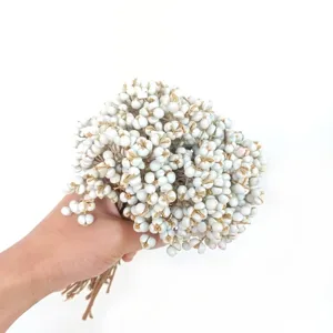 Fleurs séchées de baies de suif blanches naturelles pour déco nordique et bouquets DIY.