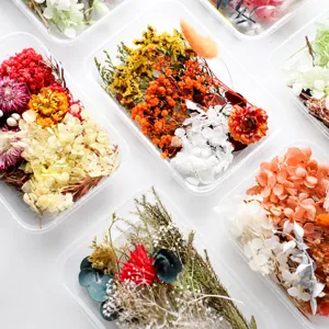 DIY Dried Flower Material Pack Mixed Flower Box Natural Botanical Flowers For Photo Frame Round Fan Handmade Bouquet Home Decor