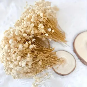 Αποξηραμένα άνθη γυψοφίλης χύμα για DIY συνθέσεις λουλουδιών και διακοσμητικές λεπτομέρειες.