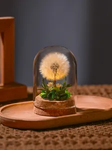 Detailed view of preserved dandelion glass dome night light with warm LED lighting and cork base.