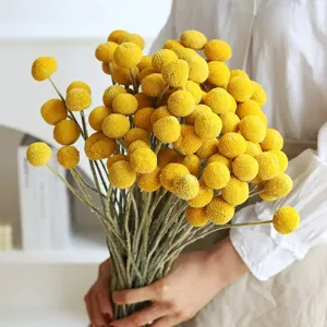Natural dried billy balls flower bouquet detail view, yellow craspedia for home decoration.