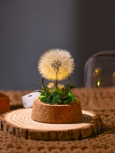Dandelion night light preserved dried flower gift with cork base for romantic home decor.