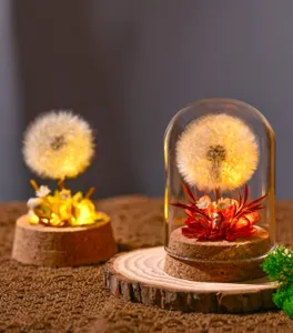 Detailed view of glowing dandelion preserved flower night light with glass dome and cork base.