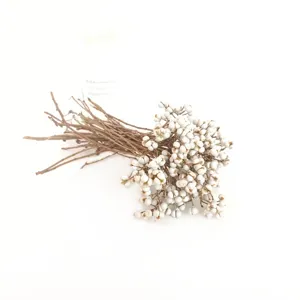 Branches de baies blanches séchées naturelles pour décoration de maison nordique arrangements floraux.