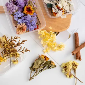 DIY Dried Flowers Material Pack Mixed Flower Box Real Dried Flower Home Decor Craft