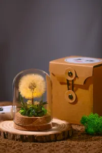 Exquisite preserved dandelion night light in glass dome with warm LED glow, perfect gift.
