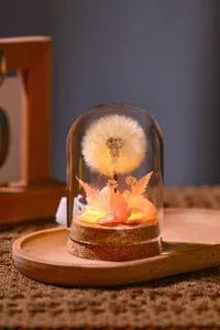 Exquisite preserved dandelion glass dome night light detail shot with warm lighting.