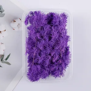 Purple preserved pine flower dried moss DIY material box for gift box craft decoration