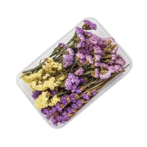 DIY mixed dried flower material pack in clear box for resin crafts, photo frames, and home decor.