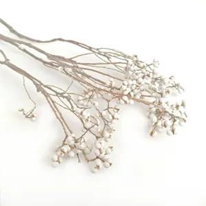 Branches de baies blanches séchées naturelles style nordique déco florale matériel DIY