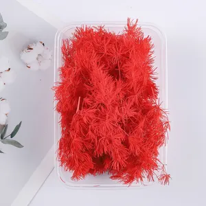 Close up of bright red dried preserved plant material in a clear plastic container for DIY craft.