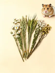 Pet hamster natural dried flower bouquet, decorative landscaping herbs and healthy small animal snacks.