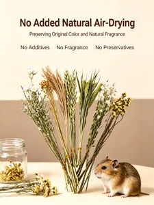 Hamster cage dry flower decoration detail, natural dried plant bouquet for pet habitat scape.