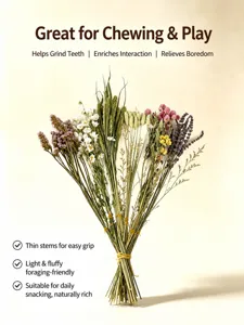 Natural dried flower bouquet for hamster cage decoration, pet chew toy and small animal foraging supply.