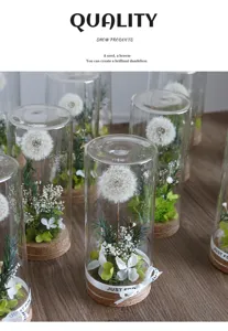 Preserved real dandelion glass bottle ornament dried flower home decor birthday gift