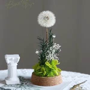 Preserved dandelion flower drifting bottle ornament dry flower home decor gift for friends