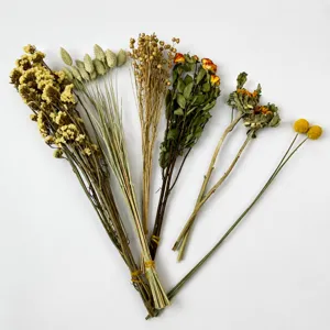 Natural dried flower bouquet for hamster cage decoration, multi variety botanical arrangement.