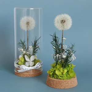 Preserved dandelion flower glass bottle ornament desktop decor gift for graduation