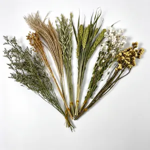 Natural dried flowers bouquet mixed plant bunch for pet cage landscaping and home decoration supply.