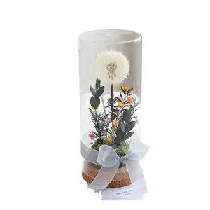 Preserved Dandelion Flower Glass Dome with Cork Base Romantic Gift for Home Decor