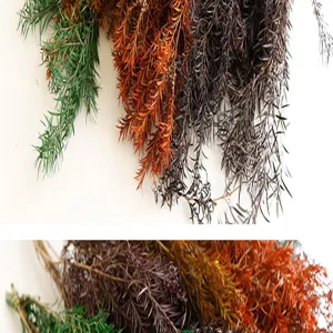 Detailed shot of preserved multi-color fine needle dried flowers for DIY crafts and floral arrangements.