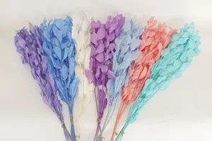 Detailed close-up view of colorful preserved leaf bunches, natural dried foliage for decor.