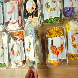 DIY dried flower round fan material kit for craft activities, floral art gifts, and home decor.