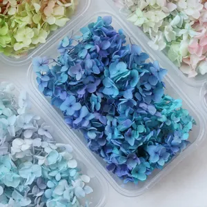 Primo piano di fiori di ortensia stabilizzati colorati in scatole, perfetti per fai da te.