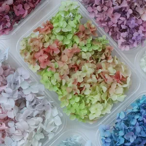Dettaglio in primo piano di fiori di ortensia stabilizzati colorati per decorazioni fai da te.