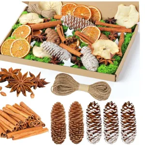 Kerst Dennenappel Kaneel Oranje Bes DIY Materiaal Pakket Voor Feestelijke Sfeer Decoratieve Gift