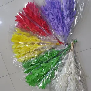 Colorful preserved leaves dried flower bouquets set, perfect for home decor and DIY floral art.