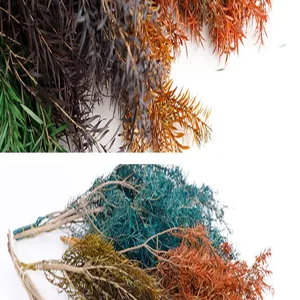 Close-up details of multicolored dried plant leaves, perfect for DIY crafts and floral decor.