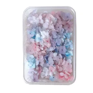 Fiori secchi ortensia stabilizzati sfumati kit materiale DIY per decorazione artigianale
